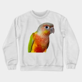 Pineapple Green Çheeked Conure Parrot Bird Crewneck Sweatshirt